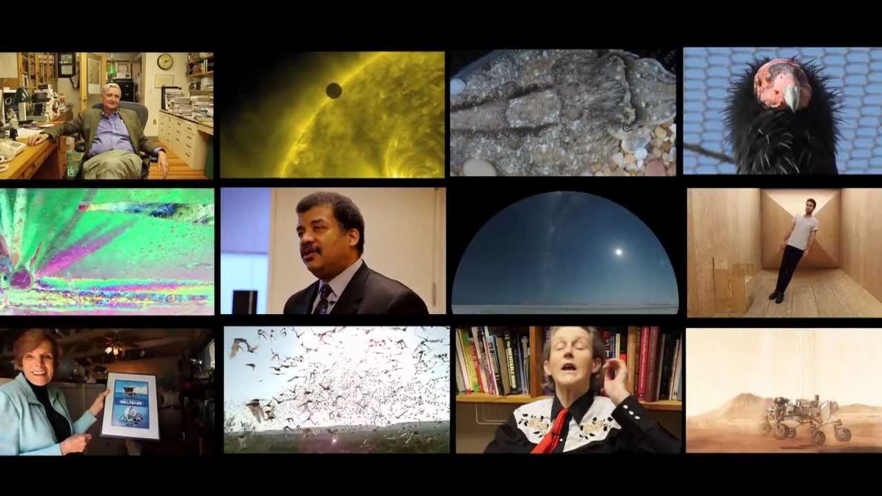 Reel Science Friday: 2012 Highlights