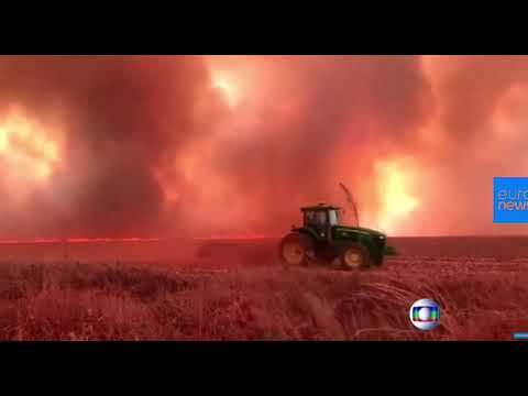 ხანძრები ბრაზილიის ტროპიკულ ჯუნგლებში