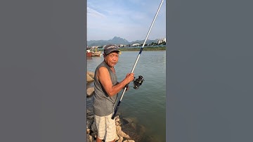 Cá nó xổng tuột,thoát khỏi lưỡi câu của tao rồi chúng bay ơi! câu lancer đợi mãi cá ăn mồi#shorts