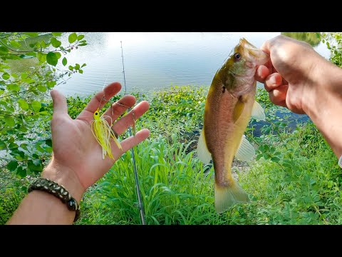 SPINNERBAIT BASS FISHING GOLF COURSE PONDS, KARL'S AMAZING BAITS