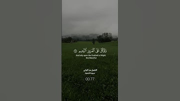 ﴿وتوكَّلْ على العزيز الرحيم﴾ | تلاوة من سورة الشعراء الشيخ بدر التركي