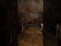 Billi Se Bhi Dar Lagne Laga | Maya ek pisachini | Horror Games | #gaming #horrorgames