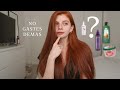 RUTINA PARA EL CABELLO: ¿CUANTO DINERO NECESITO? | productos para cabello ECONÓMICOS