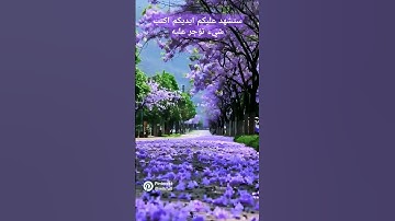 جزء من.خواتم سوره الاسراء بصوت القارئ الشيخ فارس عباد #يوتيوب #يوتيوبر #اكسبلور