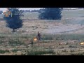 Пожары в экосистемах: в Лозовском районе поймали поджигателя - 26.08.2021