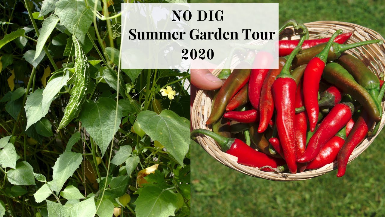 NO DIG ORGANIC GARDENING  | Swiss Summer Garden Tour 2020 |