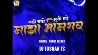 koti koti mukhi Ahe maza bhimrao song 🎶 DJ TuShaR Ts 🎶🎼 tapori mix ( bhim jaynti special ) new song