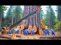 Extreme Dangerous Fastest Big Chainsaw Cutting Tree Machines | Monster Stump Removal Excavator #130
