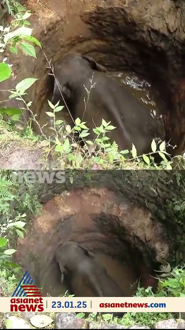 മലപ്പുറത്ത് കിണറ്റിൽ ആന വീണ പ്രദേശത്ത് കാട്ടാനശല്യം പതിവെന്ന് നാട്ടുകാർ
