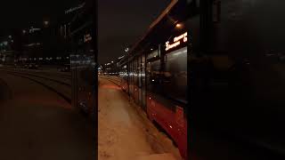 Трамвай 36, Богатырь-м! #спб #автобус #транспорт @Transportspbinetolko!