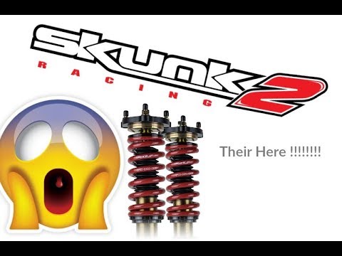 Skunk2 Racing Pro-S II Coilover Kit | 01-05 Honda Civic