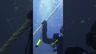 Diving diving shortvideo sea shorts adventure