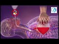 Must See | आप किसी की जान बचा सकते हों यदि आपको CPR करना आता है। #cpr #hospital #nurse #docter