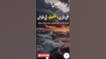 اكتب شيء تؤجر عليه 🤍 🤲🏻 #quran #اسلام #قرآن #راحة_نفسية #سورة_القصص