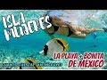 TOUR A LA PLAYA + BONITA MEXICO | Que incluye? COSTOS?, COMO LLEGAR | TOUR ISLA MUJERES VIP