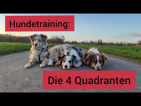 Video: Die vier Quadranten der Hundeausbildung