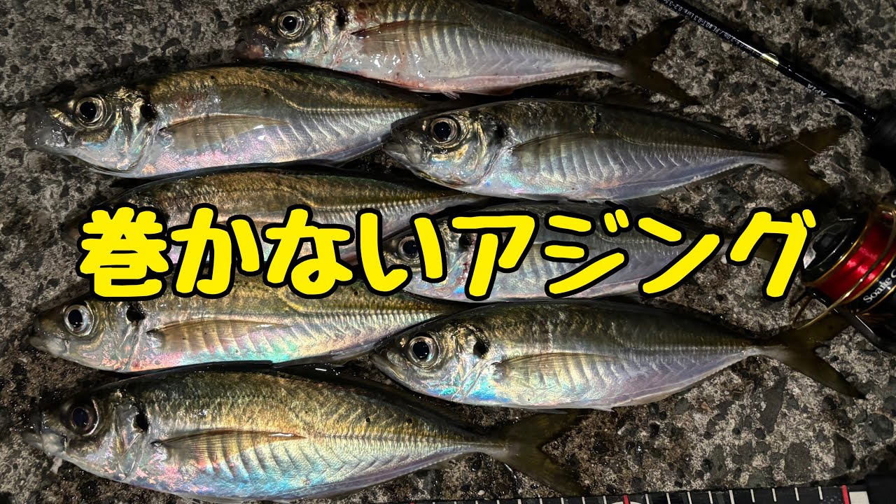 2月巻かないアジング