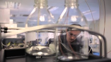 StepWave - Meet the Experts