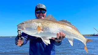 Fishing for giant Bull Redfish in Jacksonville, Florida