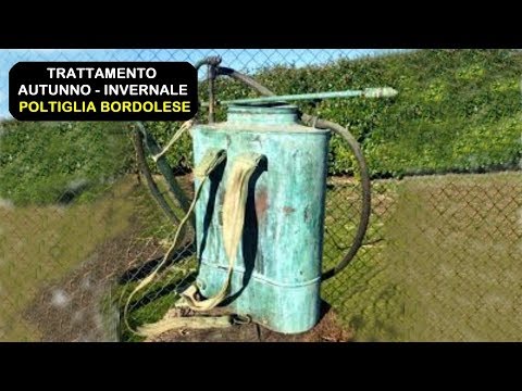 Video: Protezione invernale per alberi da frutto - Suggerimenti per seppellire alberi da frutto in inverno