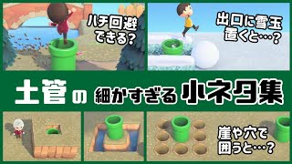 【あつ森】衝撃の新マリオ家具「土管」に隠れた細かすぎる小ネタ集！#32【あつまれ どうぶつの森】@レウンGameTV