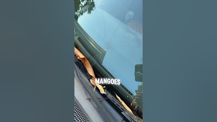 New fear: Having your mangoes fall on your car and crack your windshield 😅😭 #mango #accident #oops