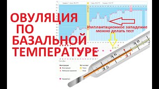 💥ОВУЛЯЦИЯ по 📉БАЗАЛЬНОЙ🌡️ температуре. Анализ графика и правила измерения.👶 Для Зачатия!