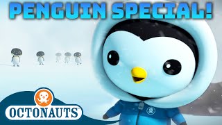 @Octonauts    Penguin Chase  | 70 Mins+ Compilation | Underwater Sea Education for Kids