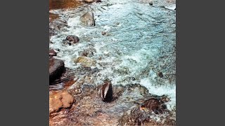 Download Lagu Tuan MP3