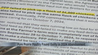 Poultry processor found guilty after abandoning thousands of chickens to Wisconsin farmers