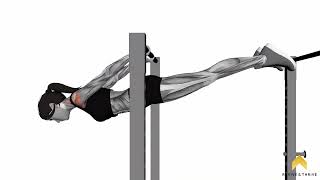 Back lever female