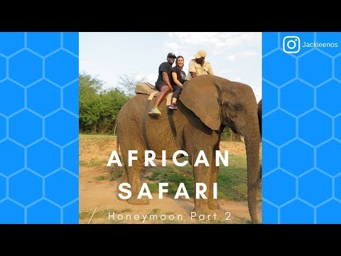 african-safari-honeymoon-part-2