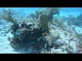Florida Keys Freediving 09.19.25_02