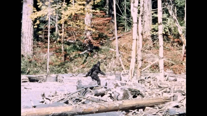 Bigfoot - Patterson/Gimlin Film | Stabilized | 10/...