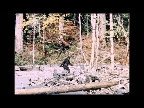 Video: En Amerikaner Filmet En Bigfoot I En Vinterskov - Alternativ Visning