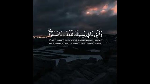 قرآن كريم بصوت شريف مصطفى | حالات واتس اب دينية ❤
