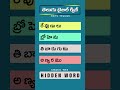 Find the Hidden Word Bible Quiz Telugu 👀 | Quick Quiz ✝️ #Shorts 135