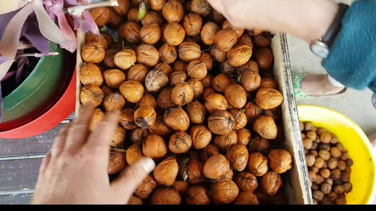 FAIRE SON HUILE DE NOIX 