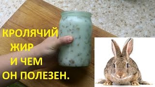 Кролячий жир и его польза. Шкварки. Кролячий жир и его польза. Шкварки.