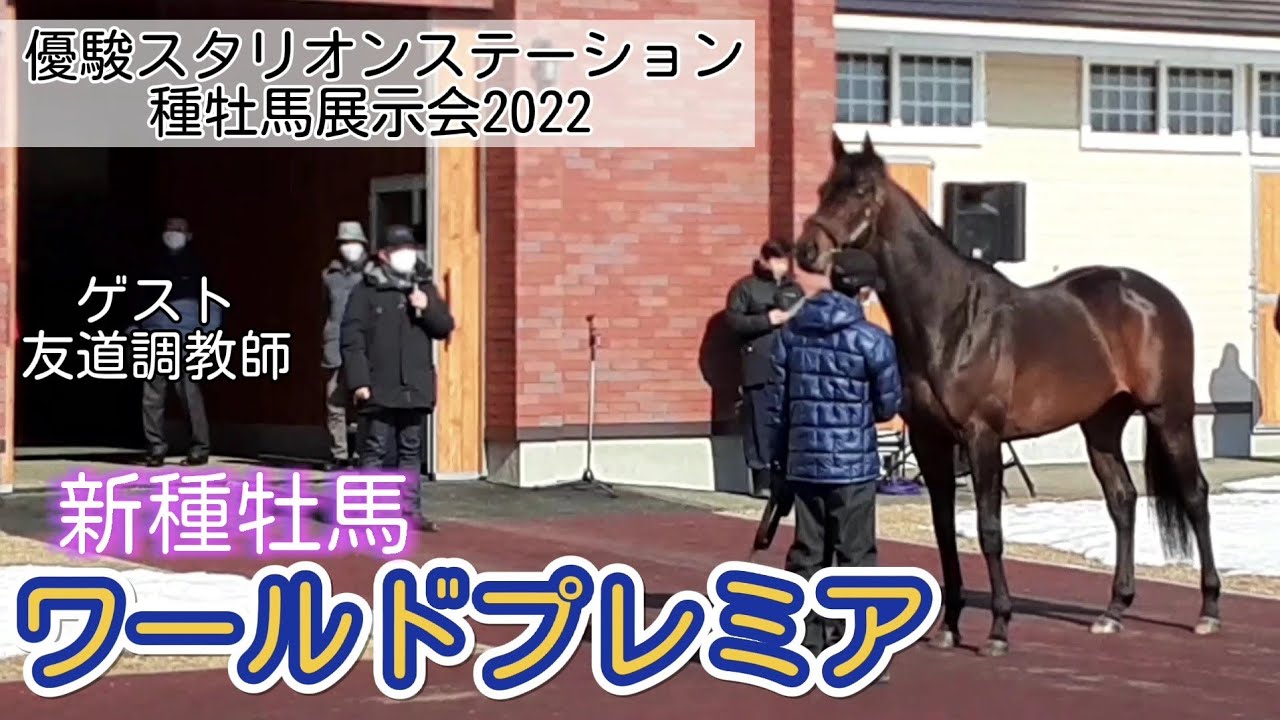 New Stallion World Premiere: Yushun Stallion Station Stallion