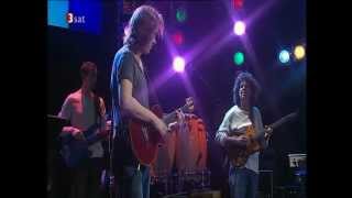 Video thumbnail of "Dominic Miller and Pat Metheny - Shape of My Heart - YouTube"