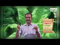 11th Botany உயிரி உலகம் பாடம் 1 பகுதி 2 Kalvi TV