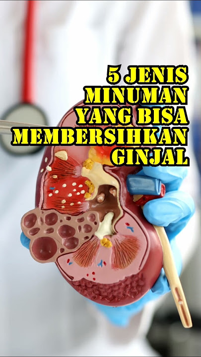 5 Jenis Minuman Yang Bisa Membersihkan Ginjal