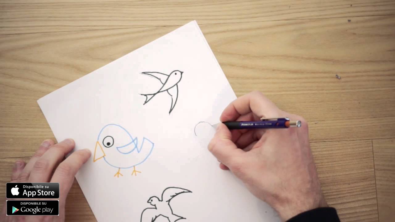 Disegni Di Uccelli Da Colorare Per Bambini Come Disegnare Youtube