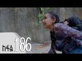 ሐረግ ክፍል 186 