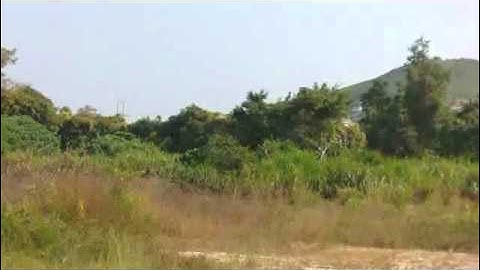 Testing new MKS servo with my 450 vdo1