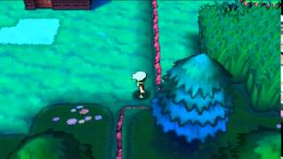 Route 123 Secret Base Locations: Pokemon Alpha Sapphire and Omega Ruby [ORAS]