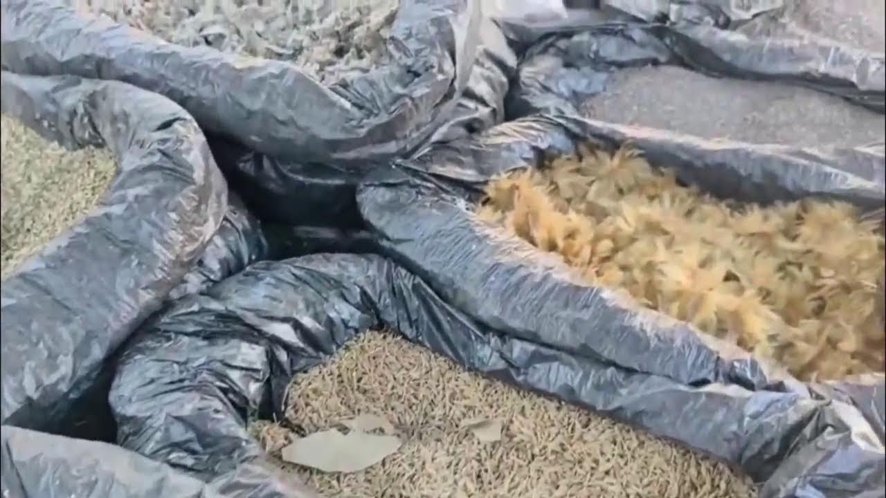 Noticiero Hechos en Vivo