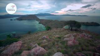 Pesona Indonesia  Komodo