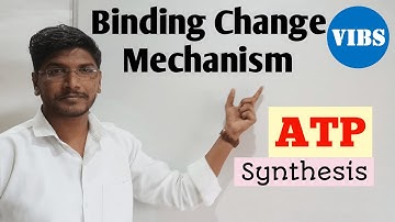 Binding Change Mechanism of ATP Synthesis| ETC| Oxidative Phosphorylation